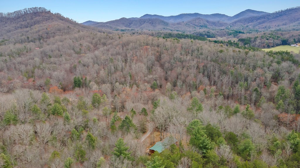 1340 Prince Road Murphy, NC 28906 - Photo 40 of 41