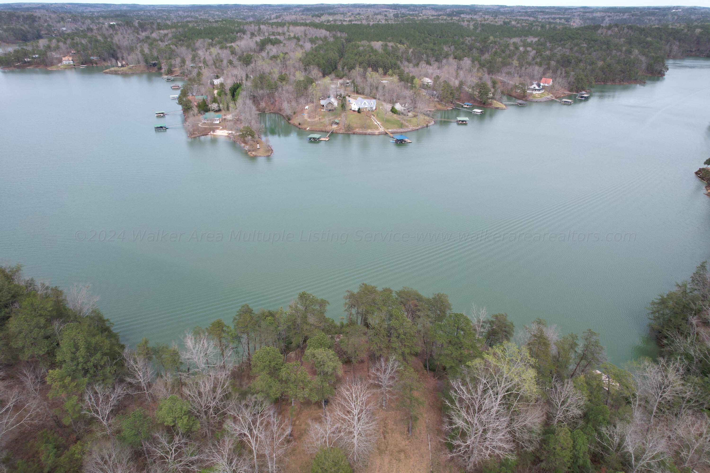 15 Long Leaf Road Lynn, AL 35575 - Photo 1 of 14 Top Down View