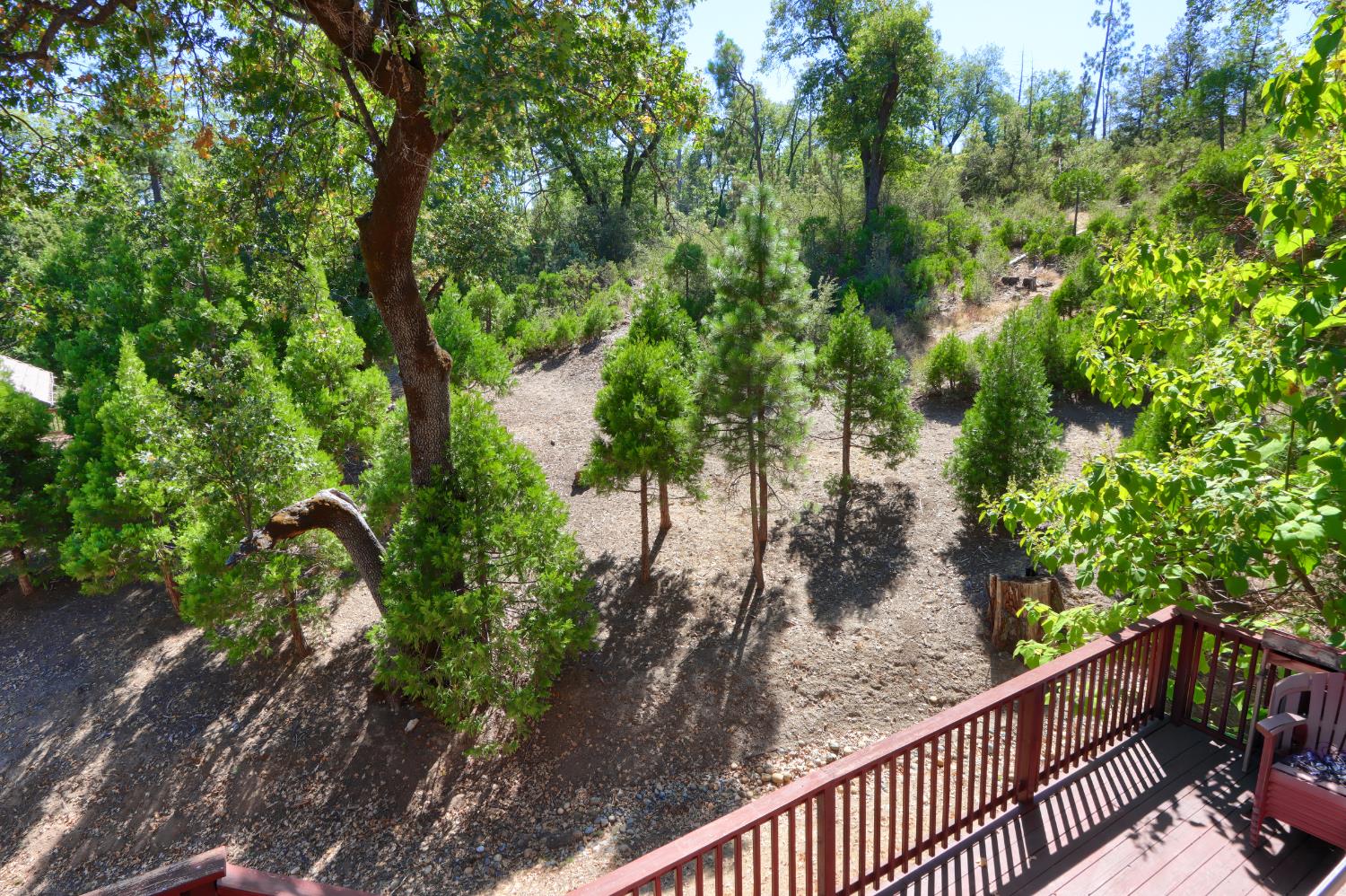 50840 Smoke Tree Trail Bass Lake, CA 93604 - Photo 37 of 43 a view of a garden