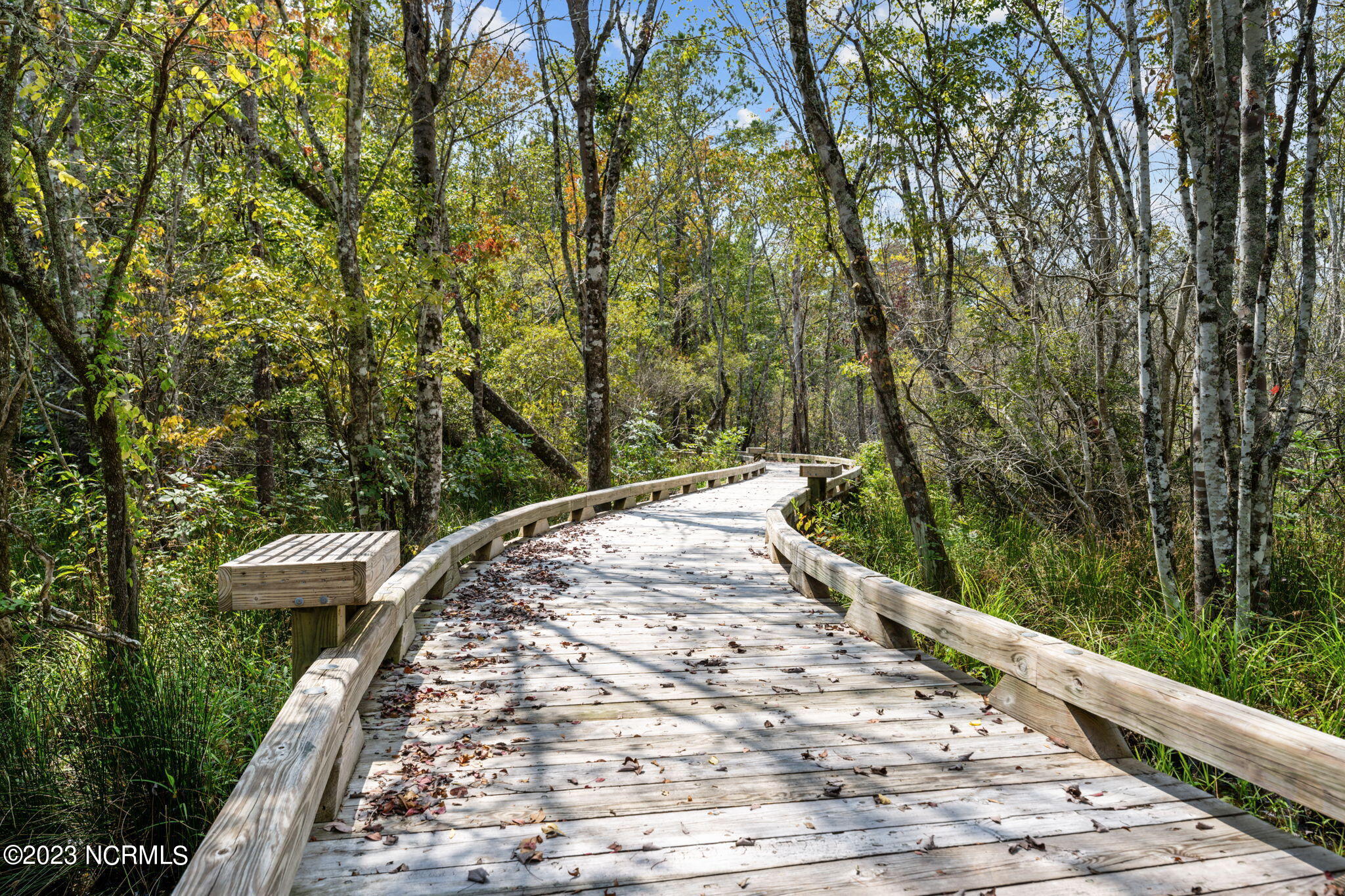 1466 Gate Hill Road Southeast Bolivia, NC 28422 - Photo 50 of 56 Nature Path