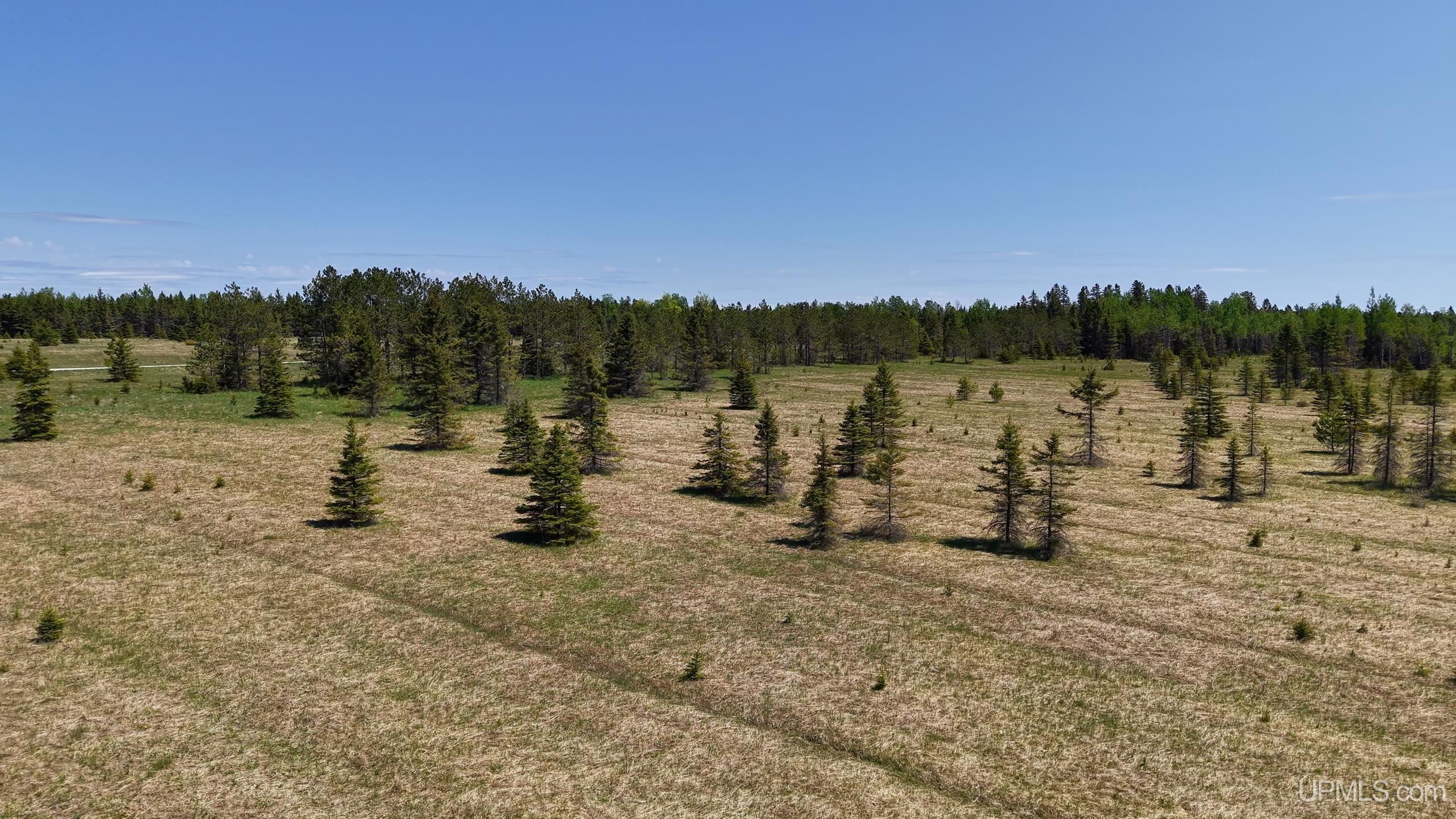 Tbd Co Rd 511 / Y5 Road, Unit STONINGTON Rapid River, MI 49878 - Photo 5 of 21