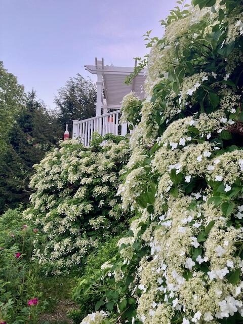 39 Spring Brook Hill Road Camden, ME 04843 - Photo 65 of 66 IMG_4536