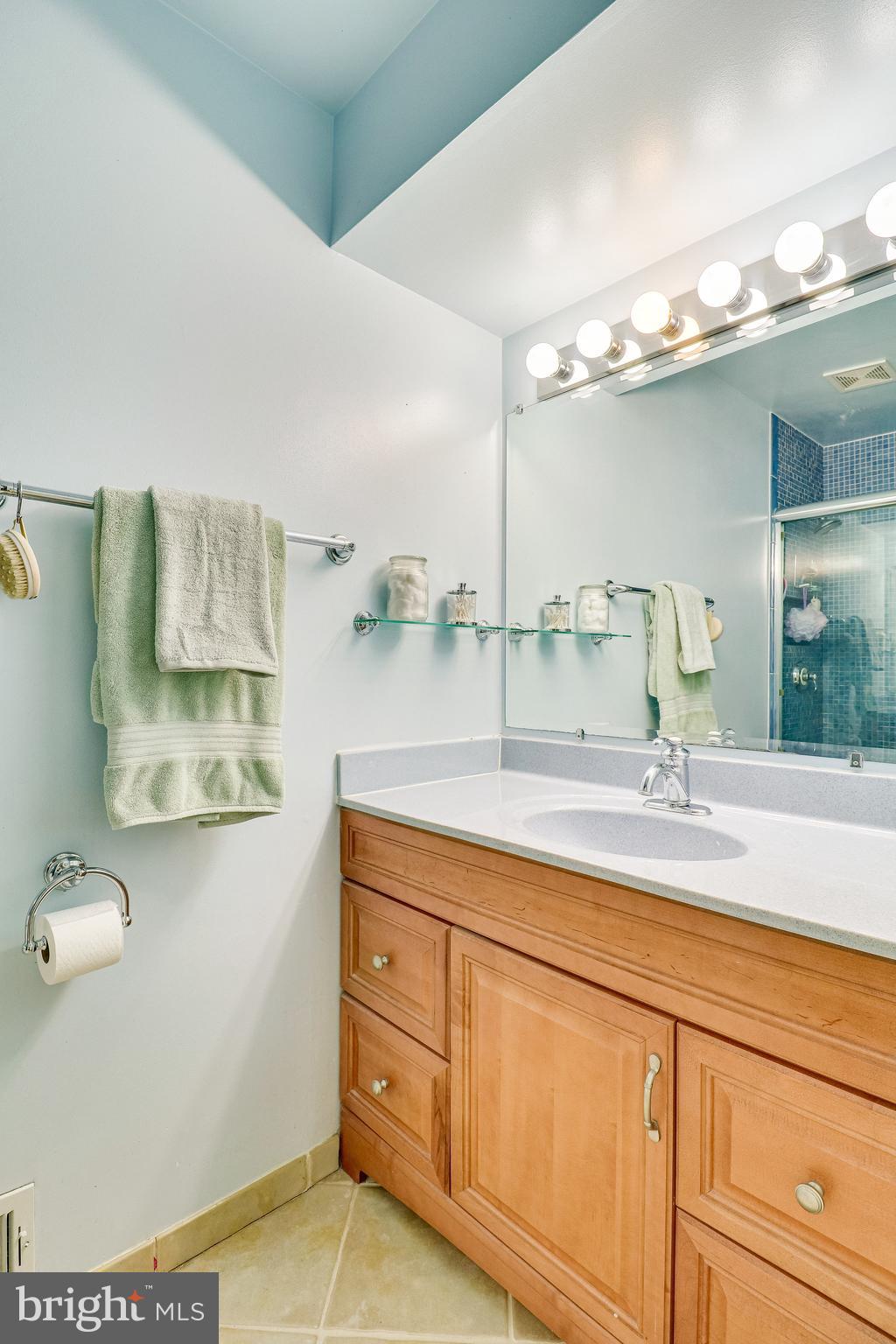 8569 Springfield Oaks Drive Springfield, VA 22153 - Photo 30 of 51 Gallery Image 30