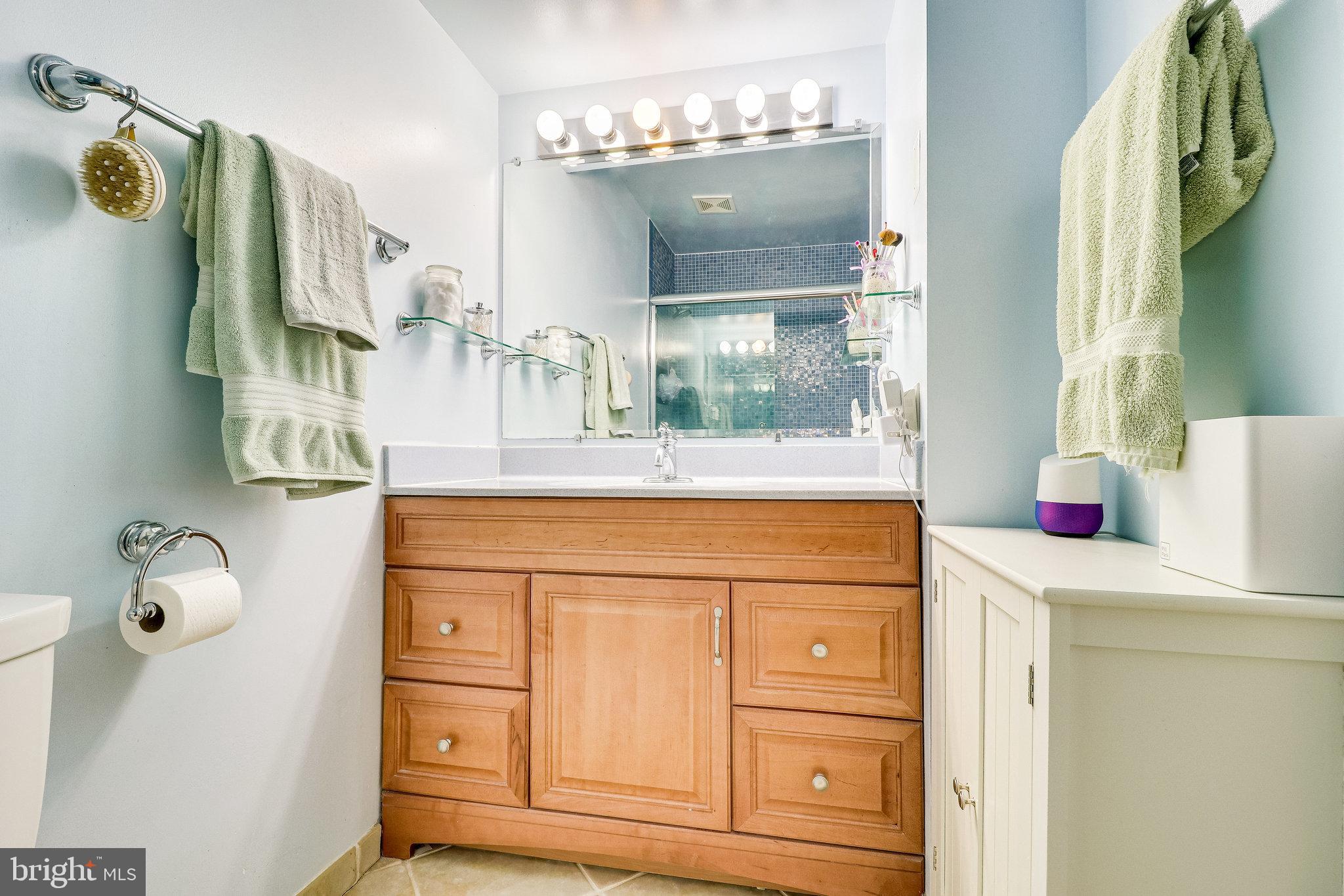 8569 Springfield Oaks Drive Springfield, VA 22153 - Photo 32 of 51 Gallery Image 32