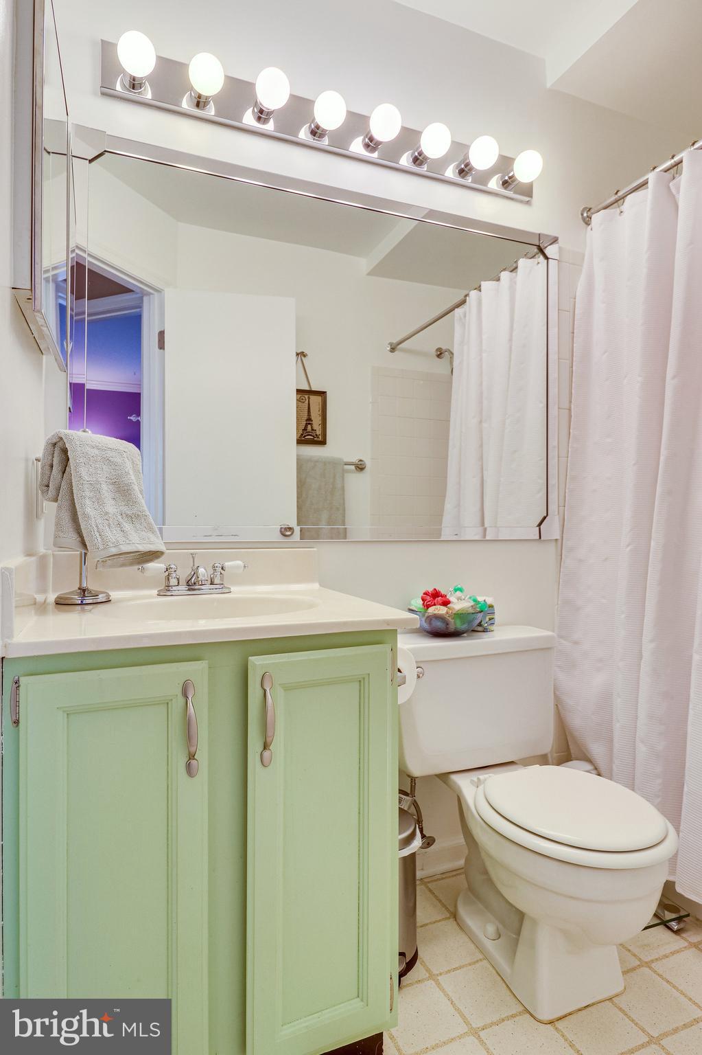8569 Springfield Oaks Drive Springfield, VA 22153 - Photo 35 of 51 Gallery Image 35