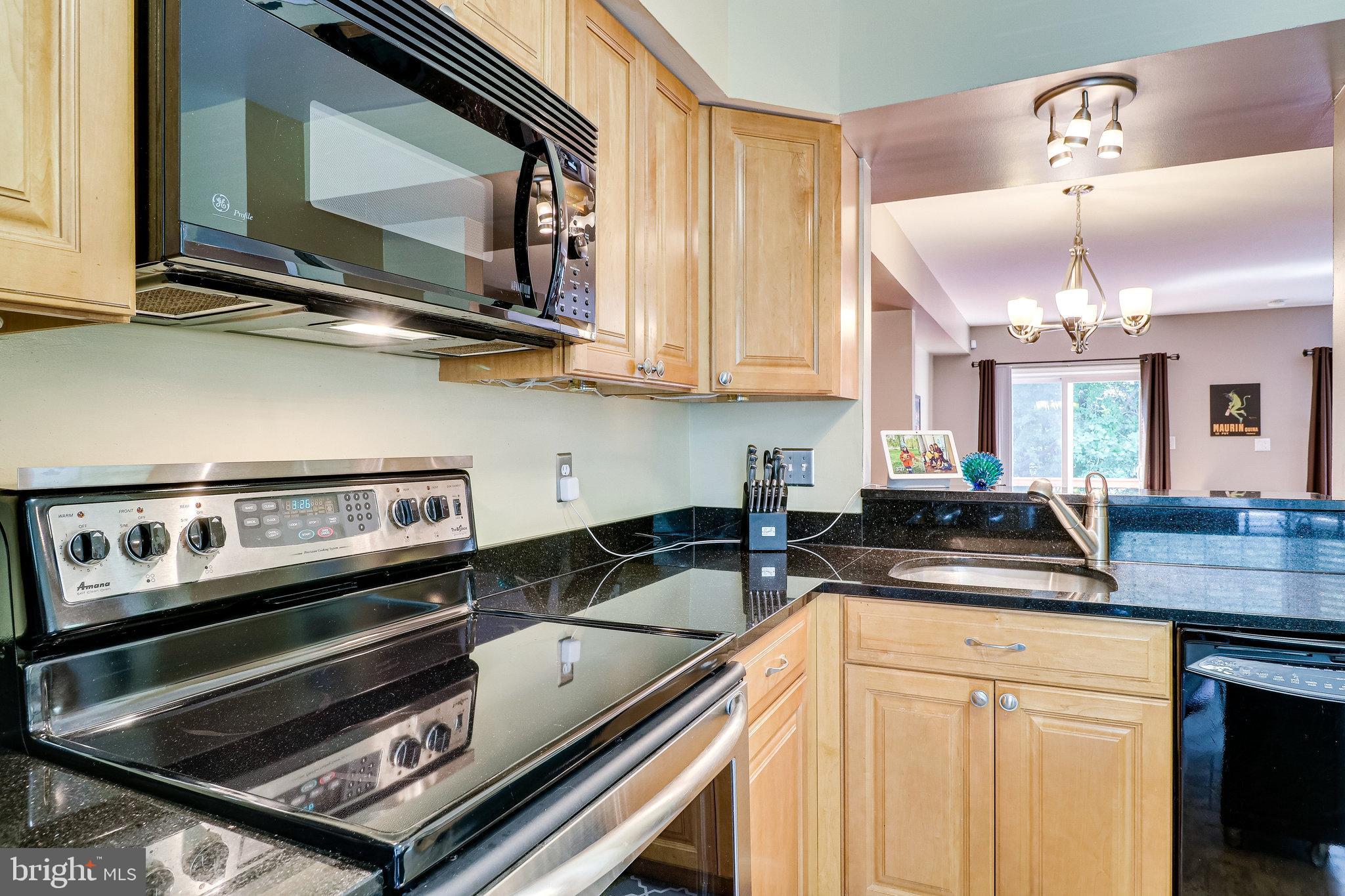 8569 Springfield Oaks Drive Springfield, VA 22153 - Photo 10 of 51 Gallery Image 10