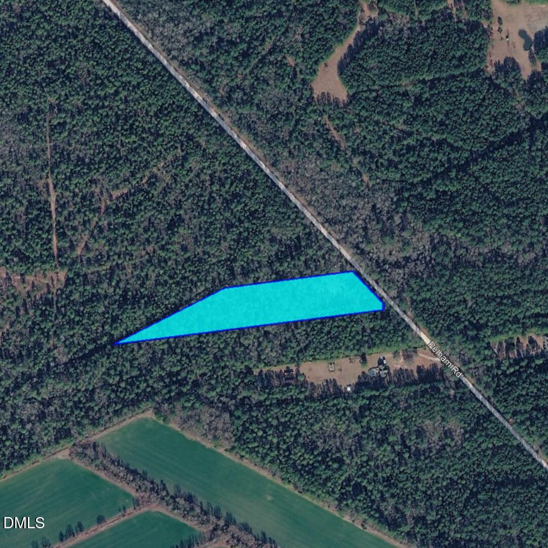 0 Pelham Road Watha, NC 28478 - Photo 2 of 6