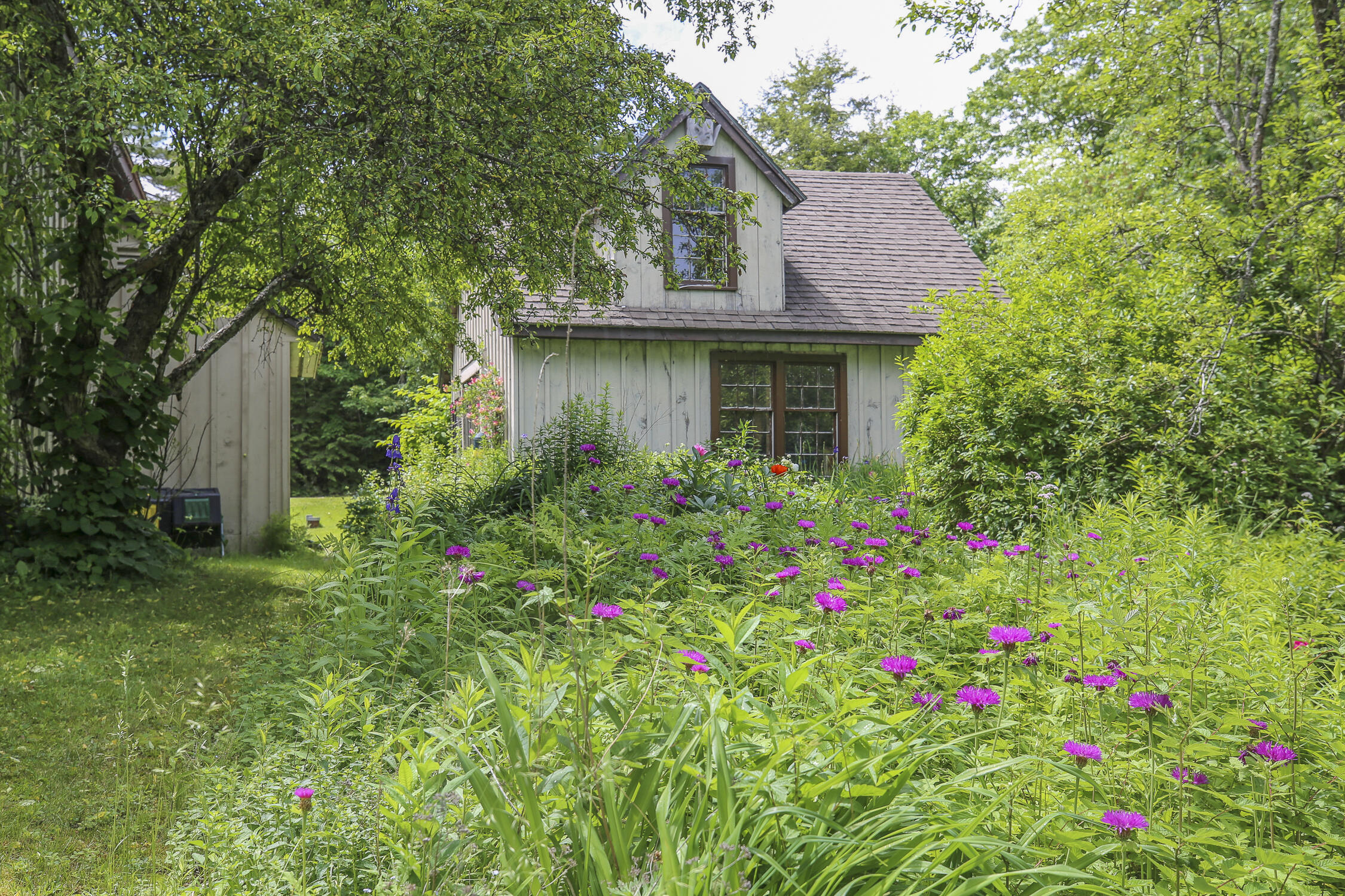 79 Sunny Point Road Swanville, ME 04915 - Photo 10 of 51 79SunnyPointRd-13