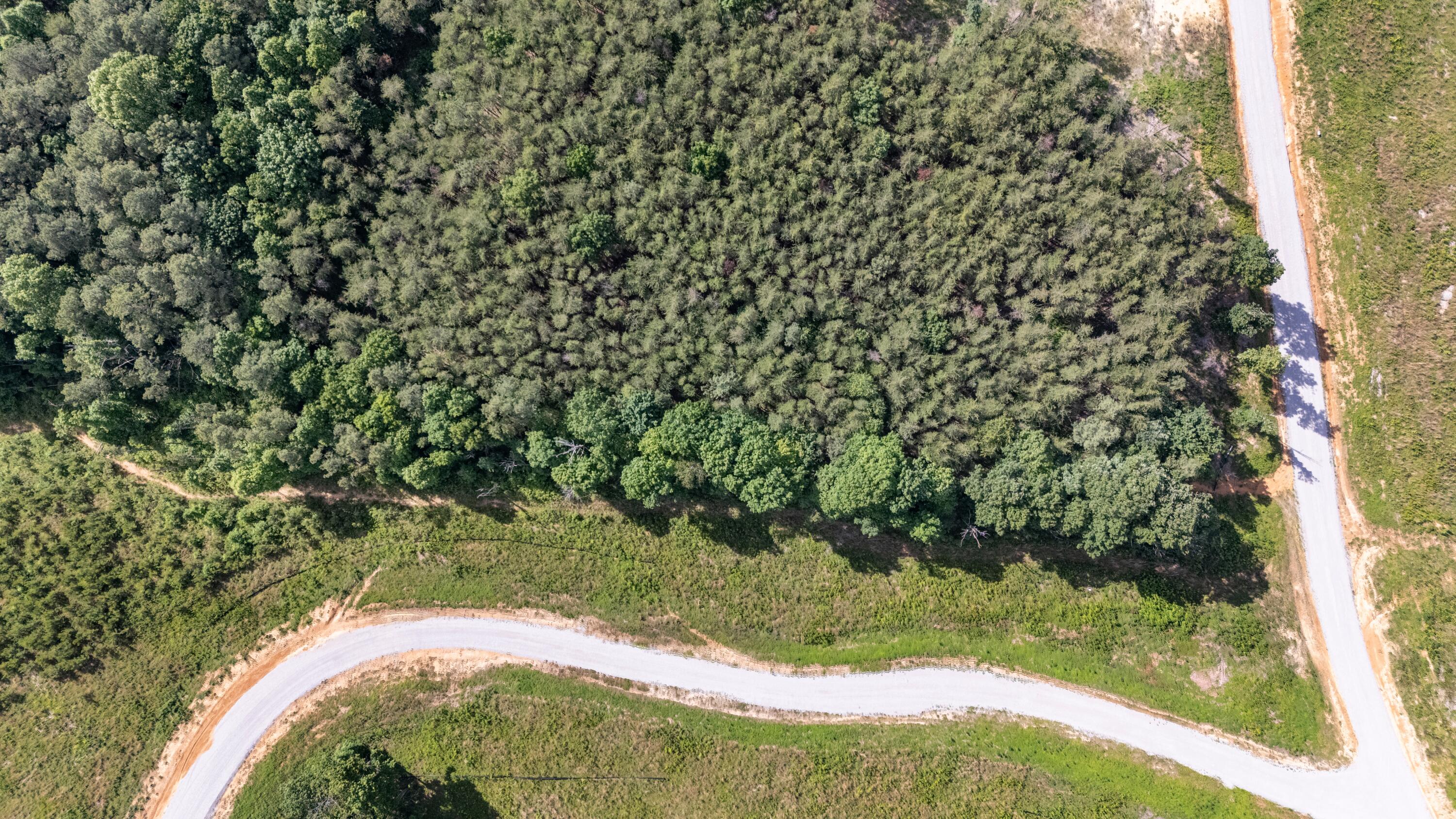 0 Saddleback Road, Unit 48 Dunlap, TN 37327 - Photo 10 of 21 DJI_20260602172411_0243_D-HDR