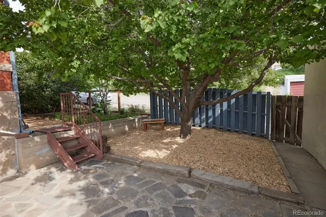 a view of backyard with large trees and wooden fence