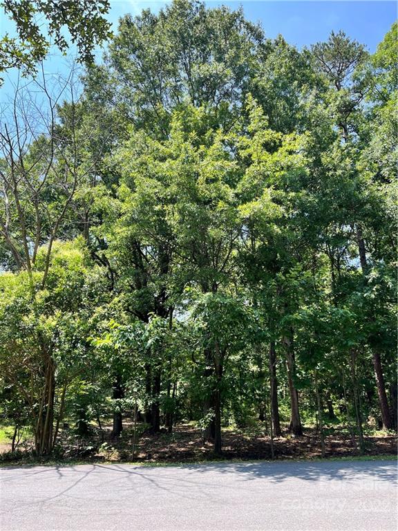 0 Forest Park Road Matthews, NC 28104 - Photo 1 of 6 Gallery Image 1