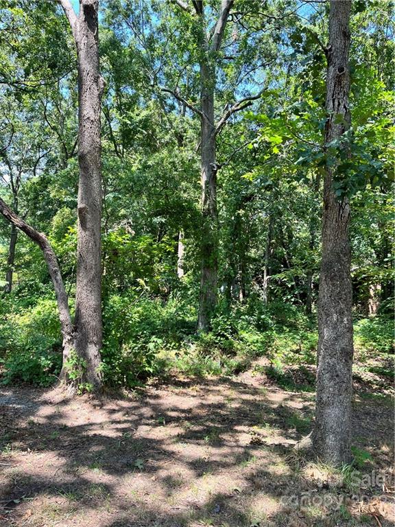 0 Forest Park Road Matthews, NC 28104 - Photo 3 of 6 Gallery Image 3