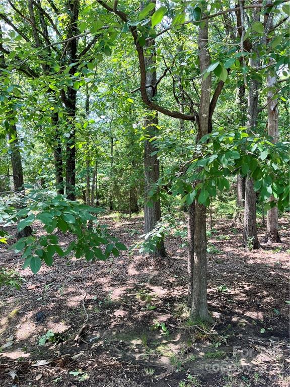0 Forest Park Road Matthews, NC 28104 - Photo 5 of 6 Gallery Image 5