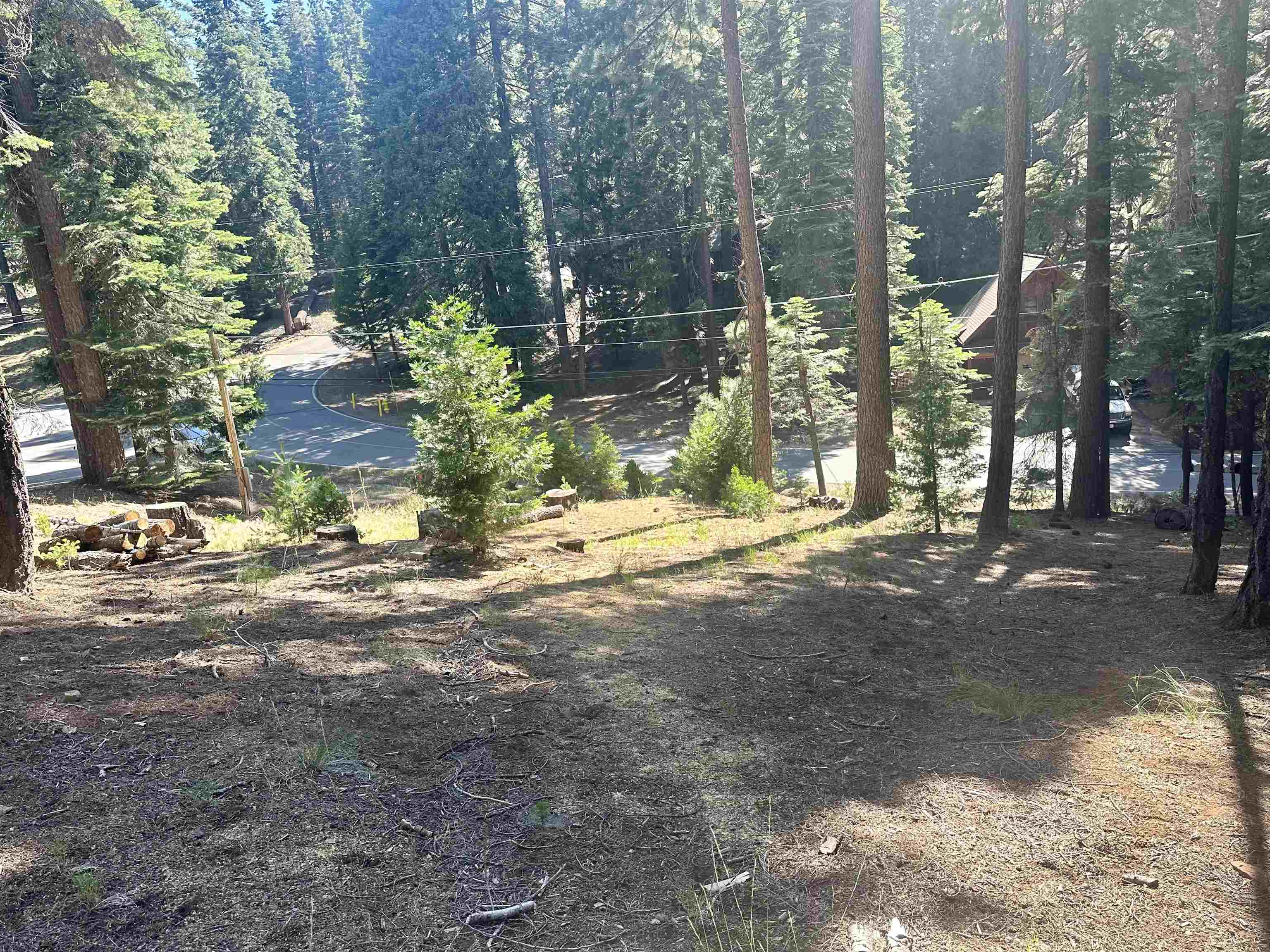 623 Cedar Canyon Road Lake Almanor, CA 96137 - Photo 1 of 4 a view of yard and tree