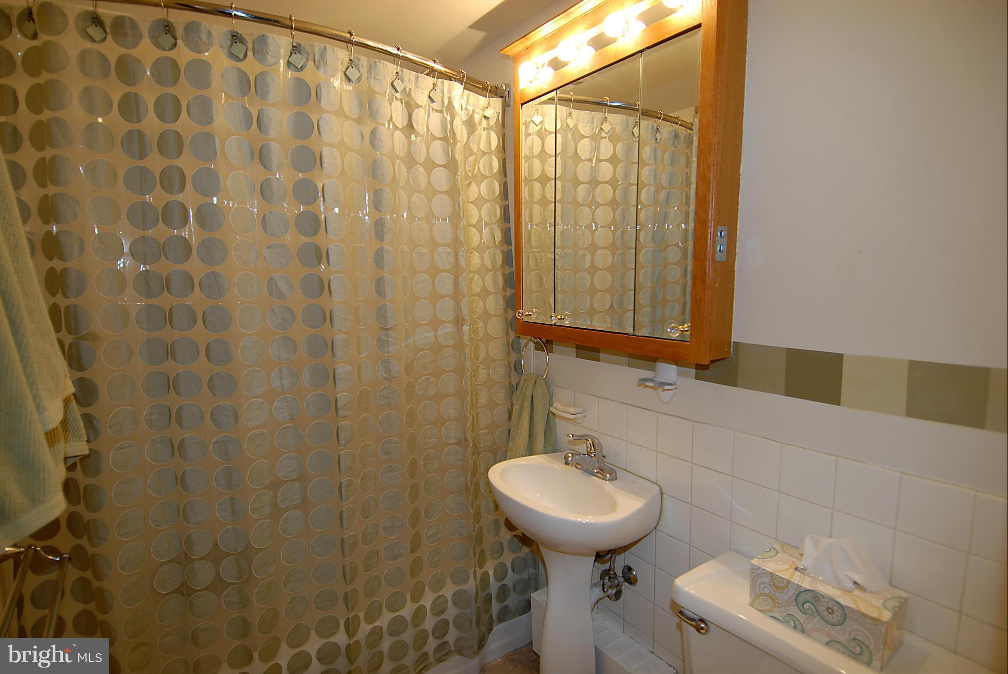 1311 Delaware Avenue Southwest, Unit S642 Washington, DC 20024 - Photo 9 of 17 Bath