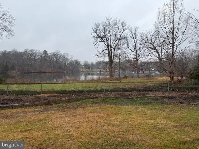 a view of a yard with large trees