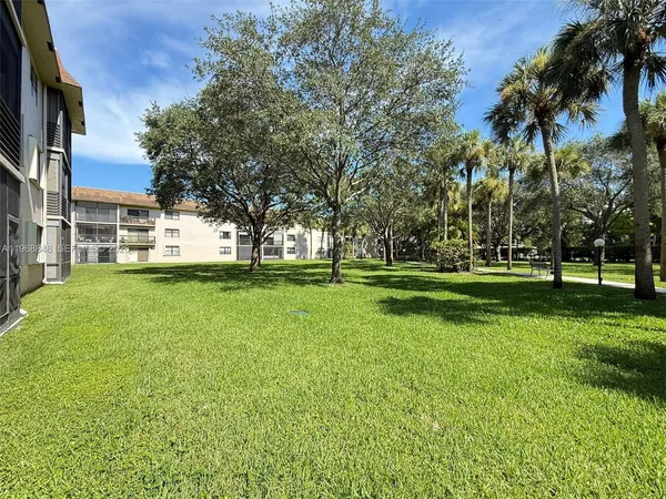 a view of a park with large trees