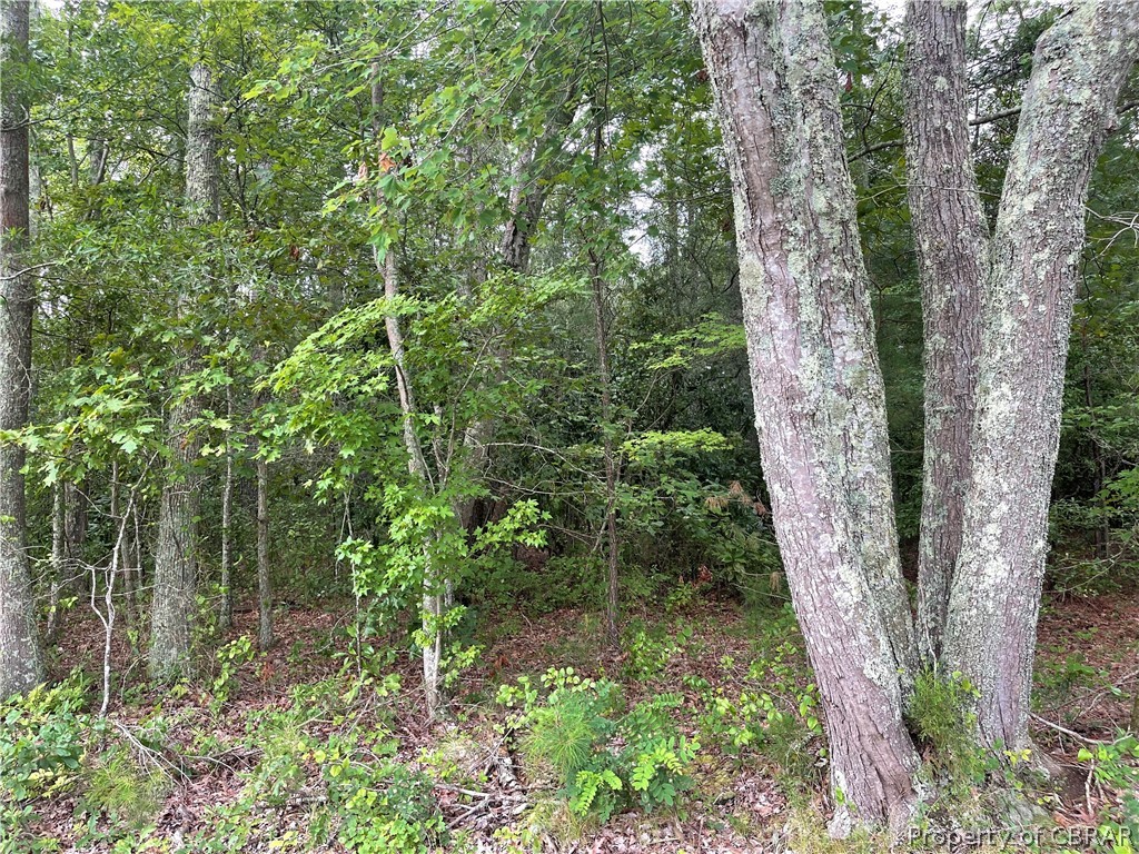 0 Line Fence Road Hayes, VA 23072 - Photo 8 of 14