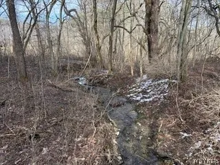 $489,000 | 6451 Java Lake Road, Arcade, NY 14009
