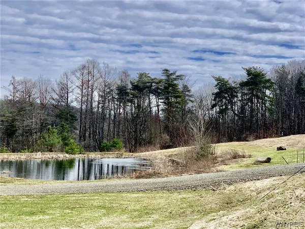 $449,000 | 6451 Java Lake Road, Arcade, NY 14009