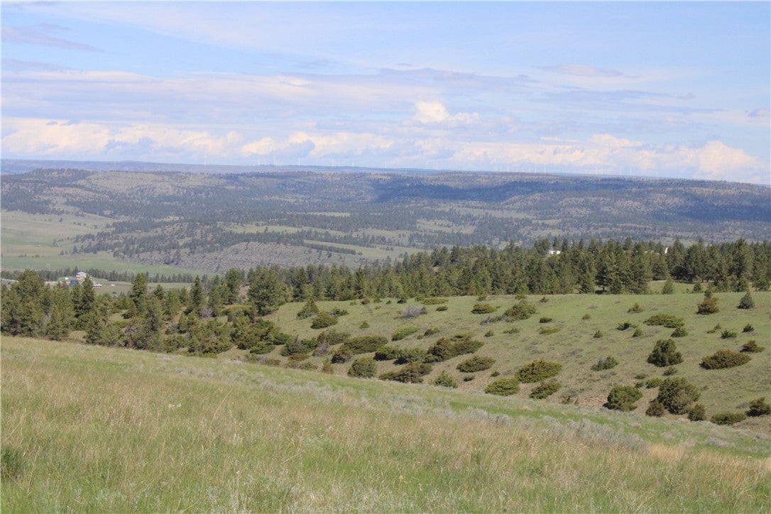 Tbd North Harrier Road Reed Point, MT 59069 - Photo 25 of 25 Gallery Image 25