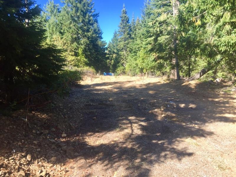 3 New 3 Creeks Road Blue Lake, CA 95525 - Photo 3 of 7