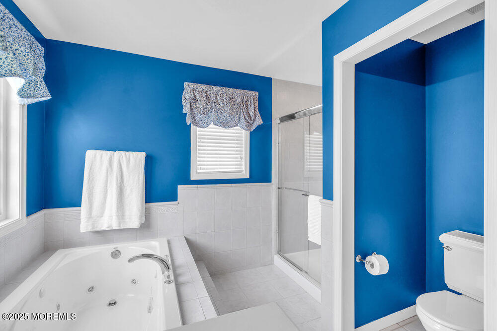 419 Central Avenue Spring Lake, NJ 07762 - Photo 36 of 41 a bathroom with a bathtub and a toilet