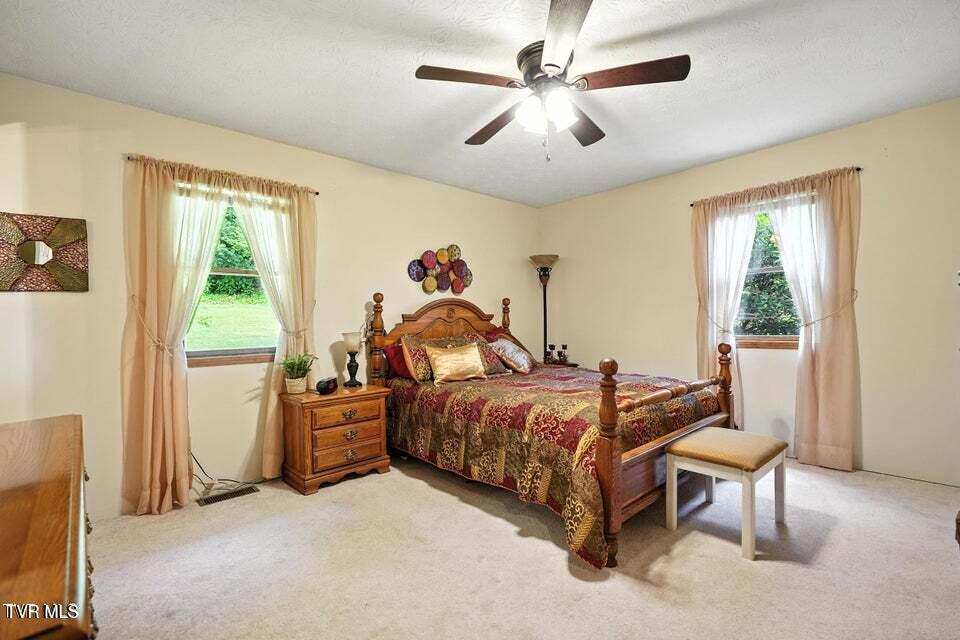 1037 Swift Hollow Road Mountain City, TN 37683 - Photo 26 of 47 primary bedroom