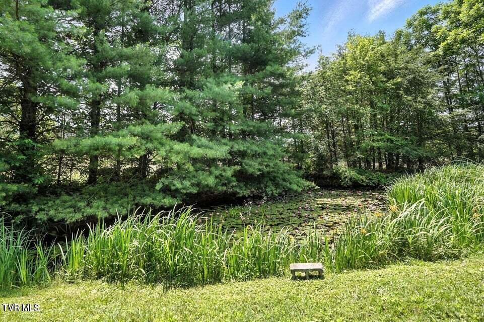 1037 Swift Hollow Road Mountain City, TN 37683 - Photo 3 of 47 lily pond