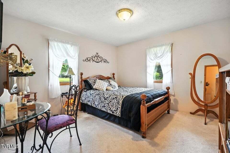 1037 Swift Hollow Road Mountain City, TN 37683 - Photo 33 of 47 guestroom 1