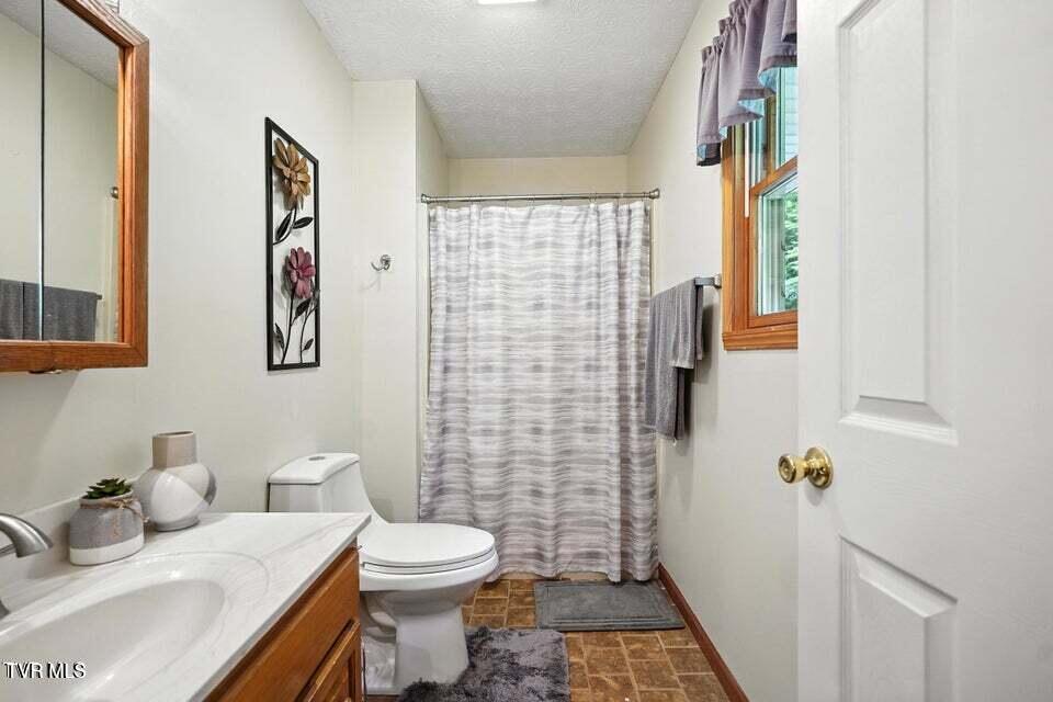 1037 Swift Hollow Road Mountain City, TN 37683 - Photo 36 of 47 primary bath