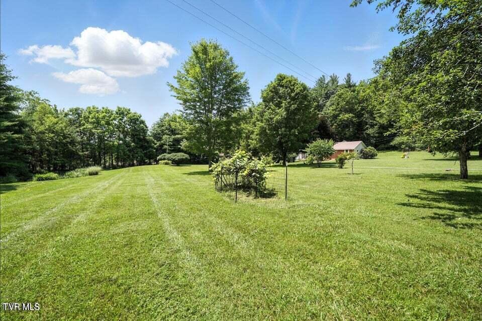 1037 Swift Hollow Road Mountain City, TN 37683 - Photo 45 of 47 private oasis