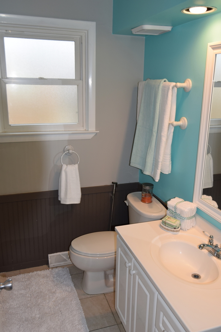 719 Spring Street Roselle, IL 60172 - Photo 19 of 28 Gallery Image 19