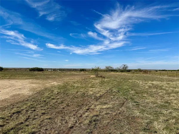 a view of a dry yard