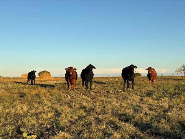 $749,000 | 386 County Road 604, Hamilton, TX 76531