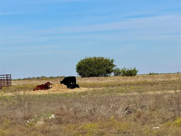 a view of a lake view