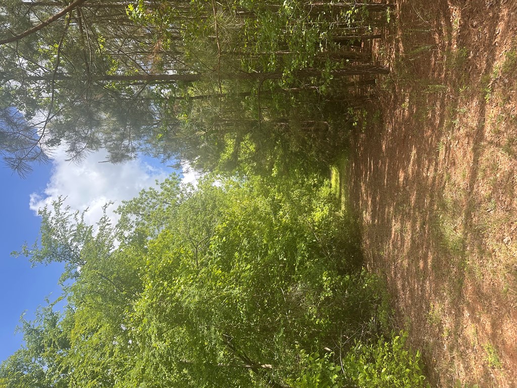 77 Hemlock Drive Clinton, SC 29325 - Photo 5 of 18