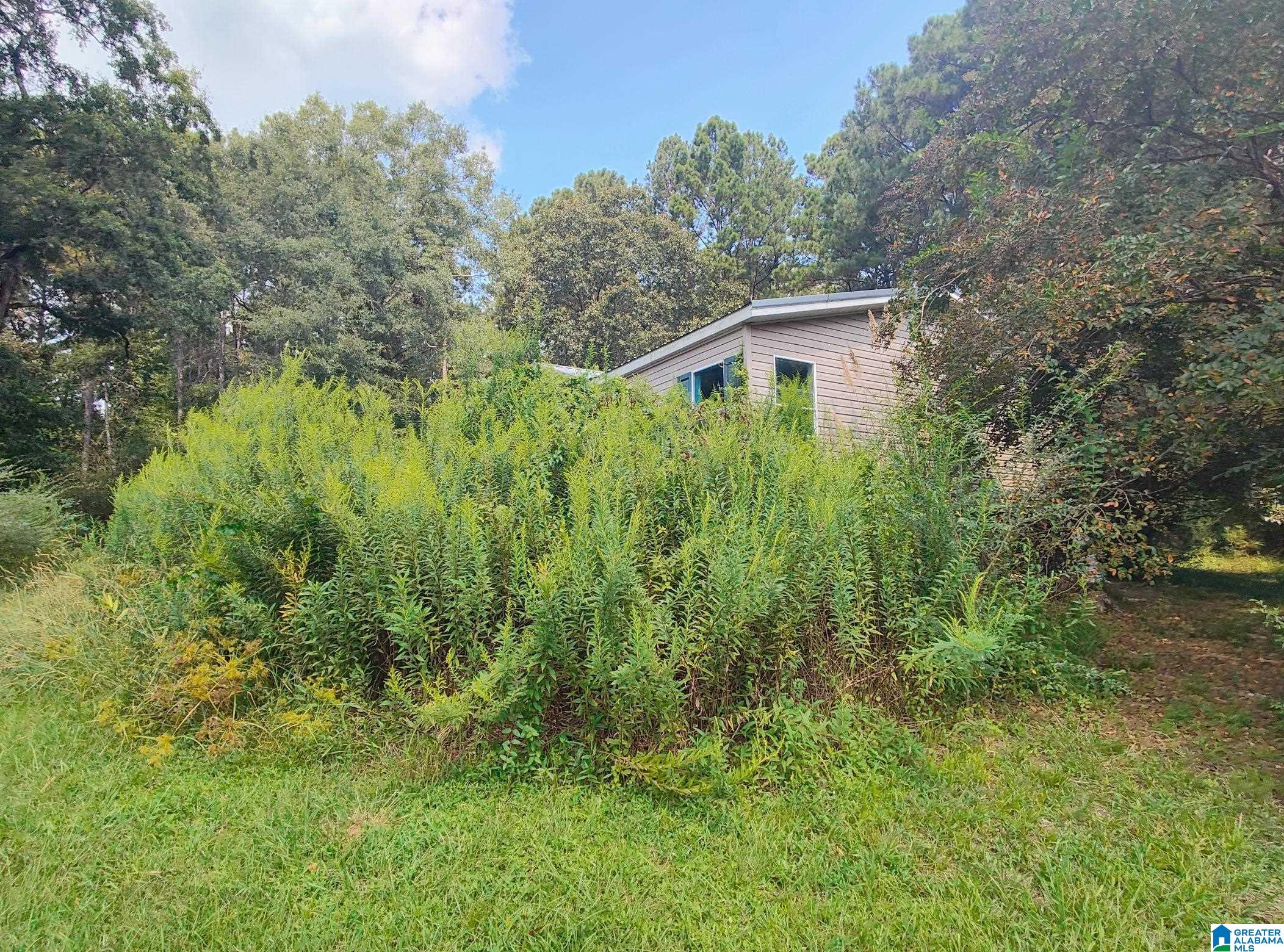 310 Hughes Road Columbiana, AL 35051 - Photo 29 of 31