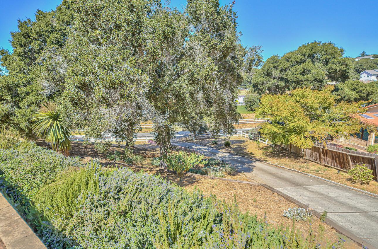 17846 Berta Canyon Road Salinas, CA 93907 - Photo 4 of 55 Gallery Image 4
