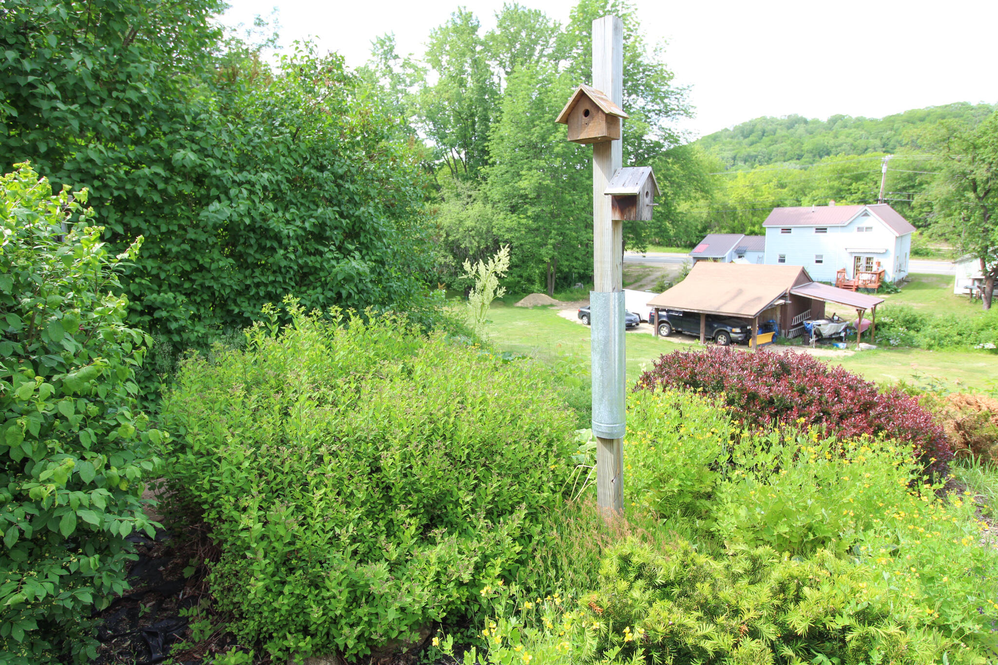 16 Smithville Road Rumford, ME 04276 - Photo 7 of 36 Back yard landscaping