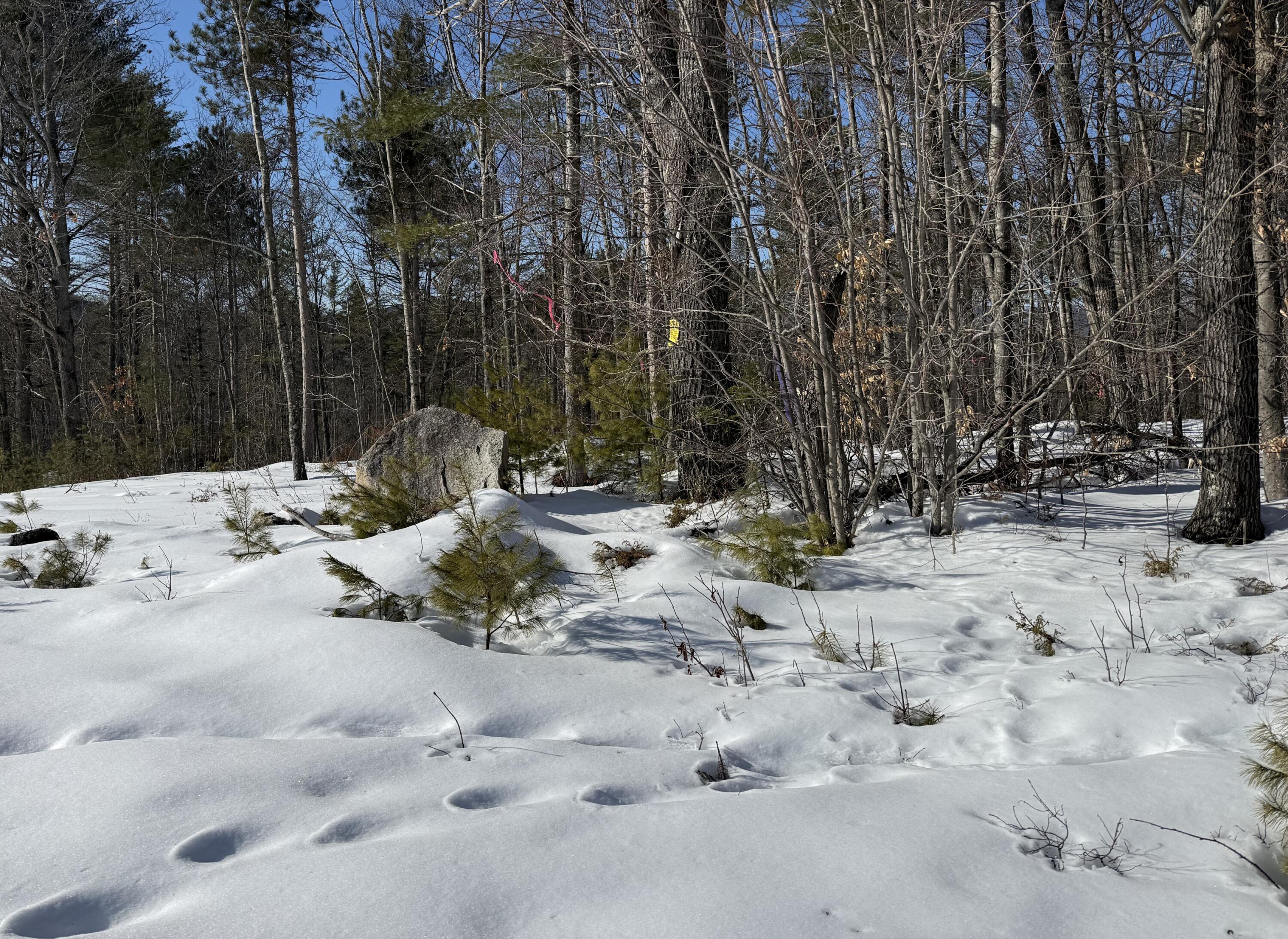 299 Intervale Road Jay, ME 04239 - Photo 3 of 7