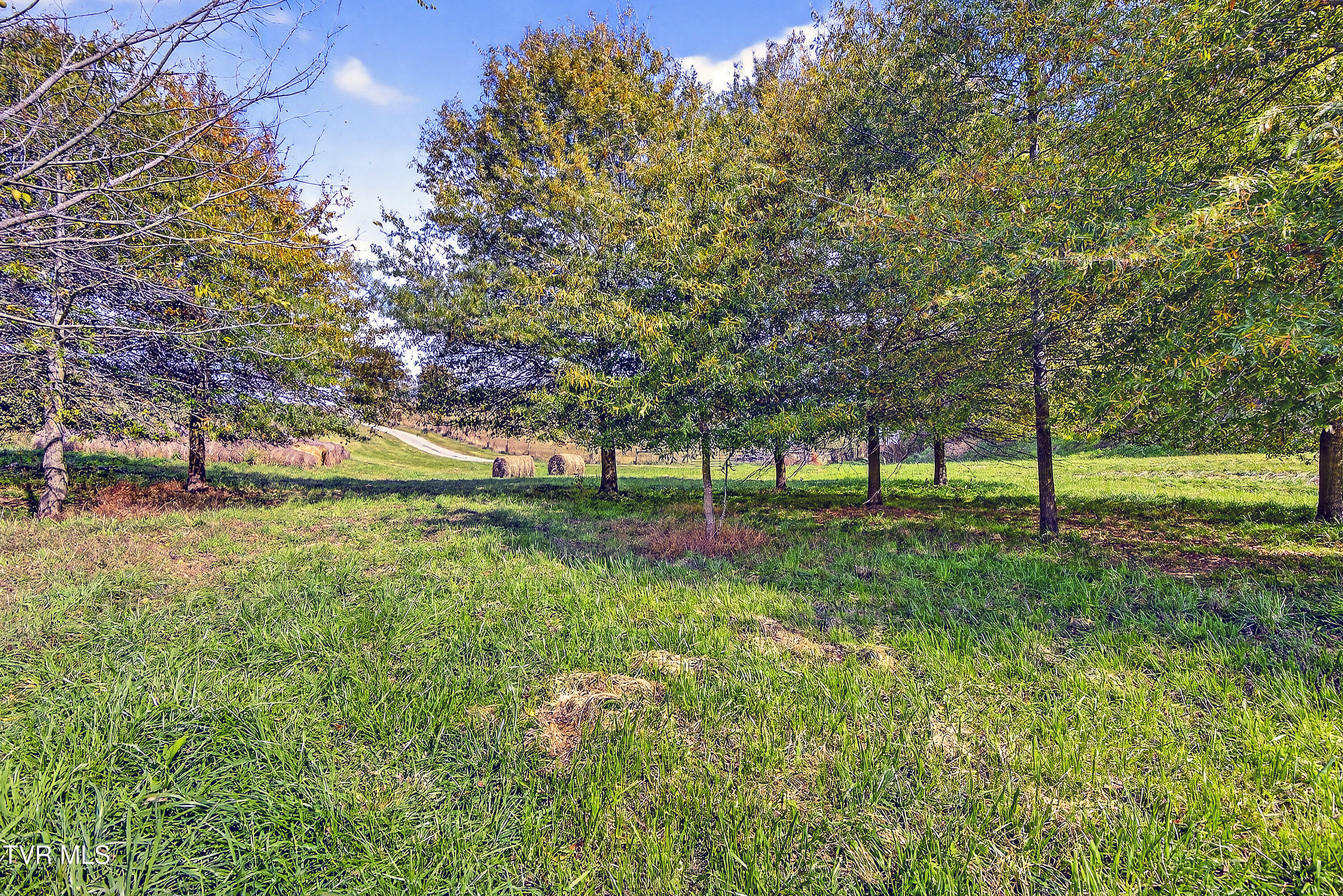13129 Northridge Road Abingdon, VA 24210 - Photo 66 of 89 land