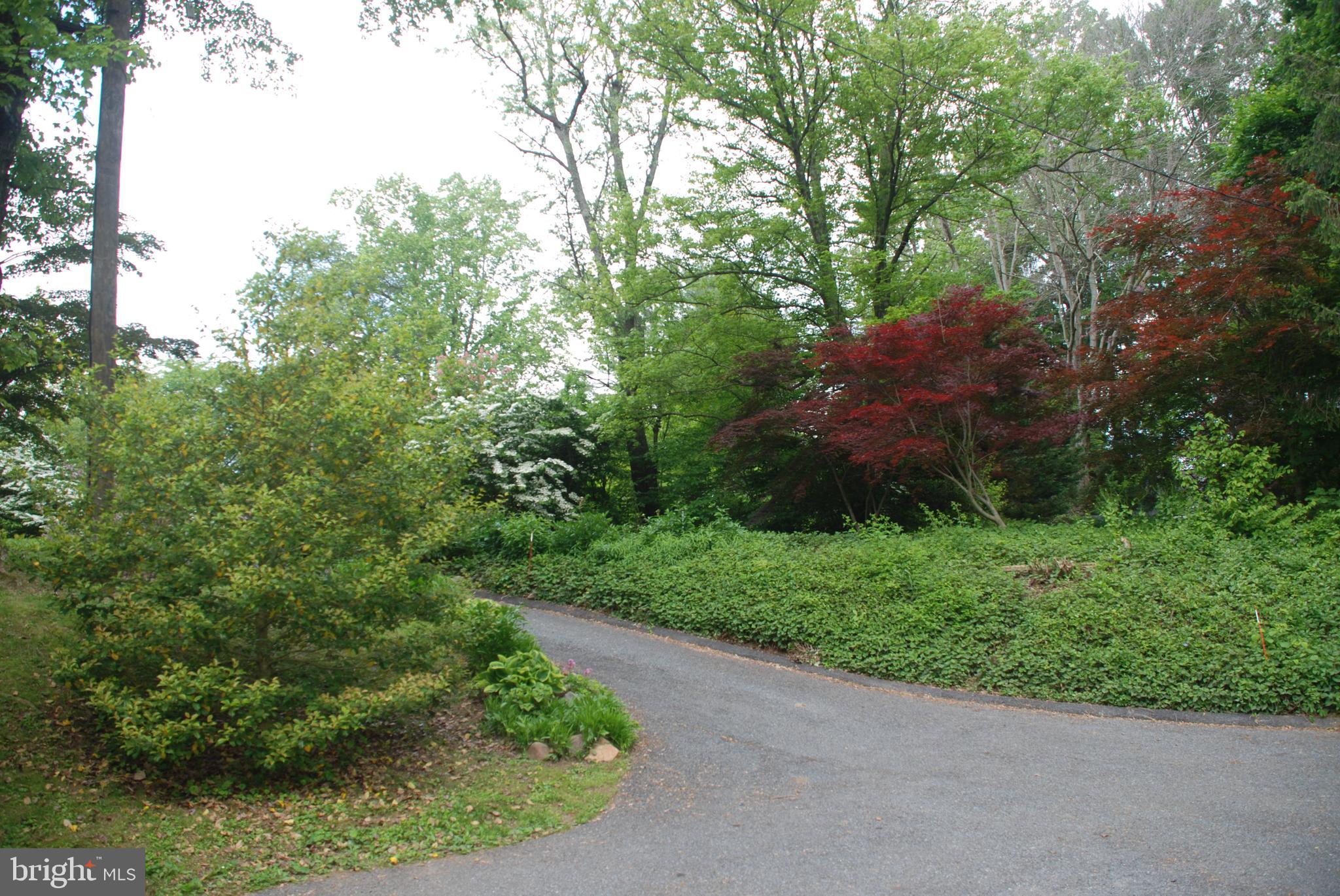 3911 Longmoor Circle Phoenix, MD 21131 - Photo 47 of 64 Landscaping is popping around the property