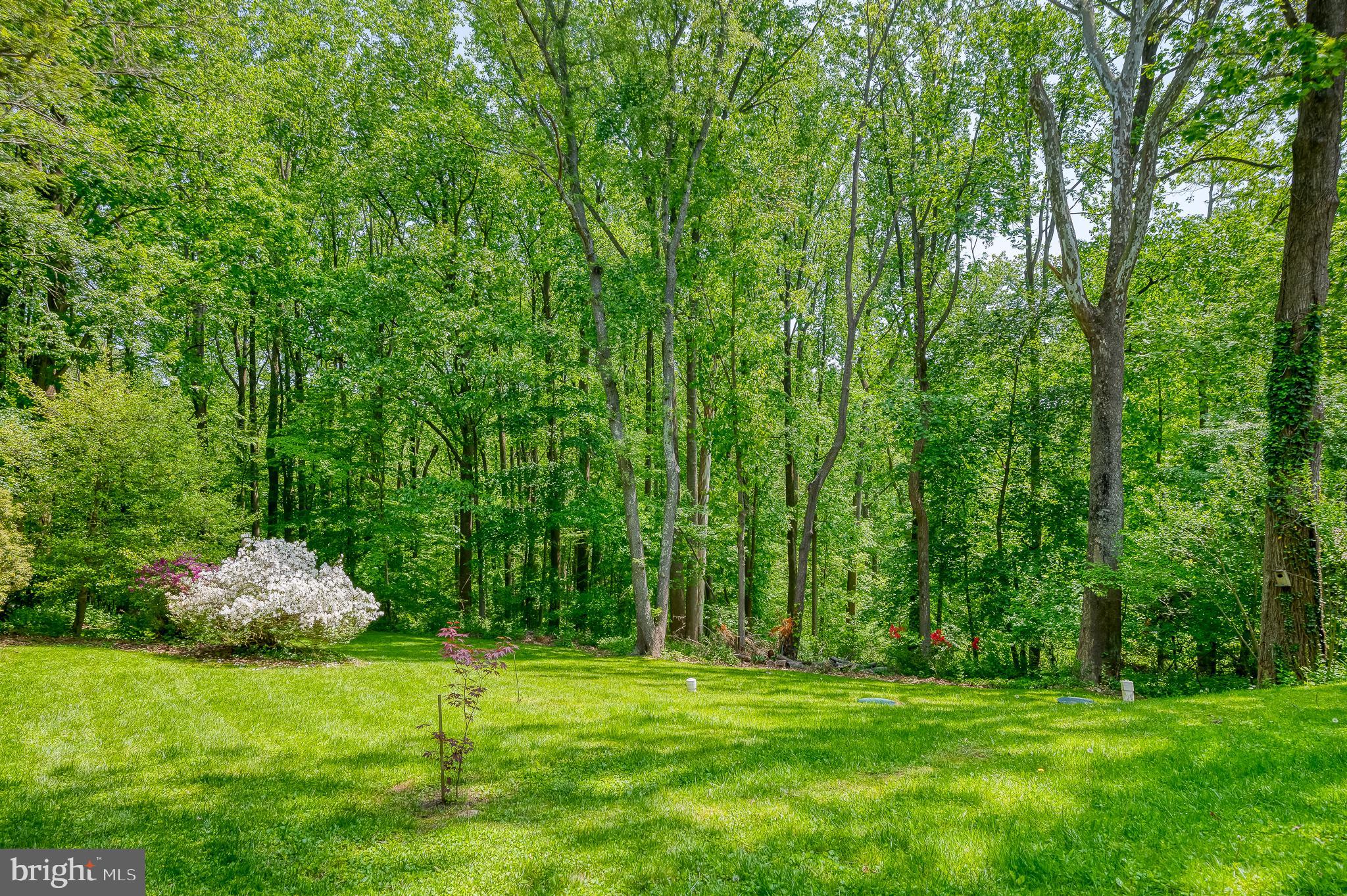 3911 Longmoor Circle Phoenix, MD 21131 - Photo 54 of 64 Backs to stream