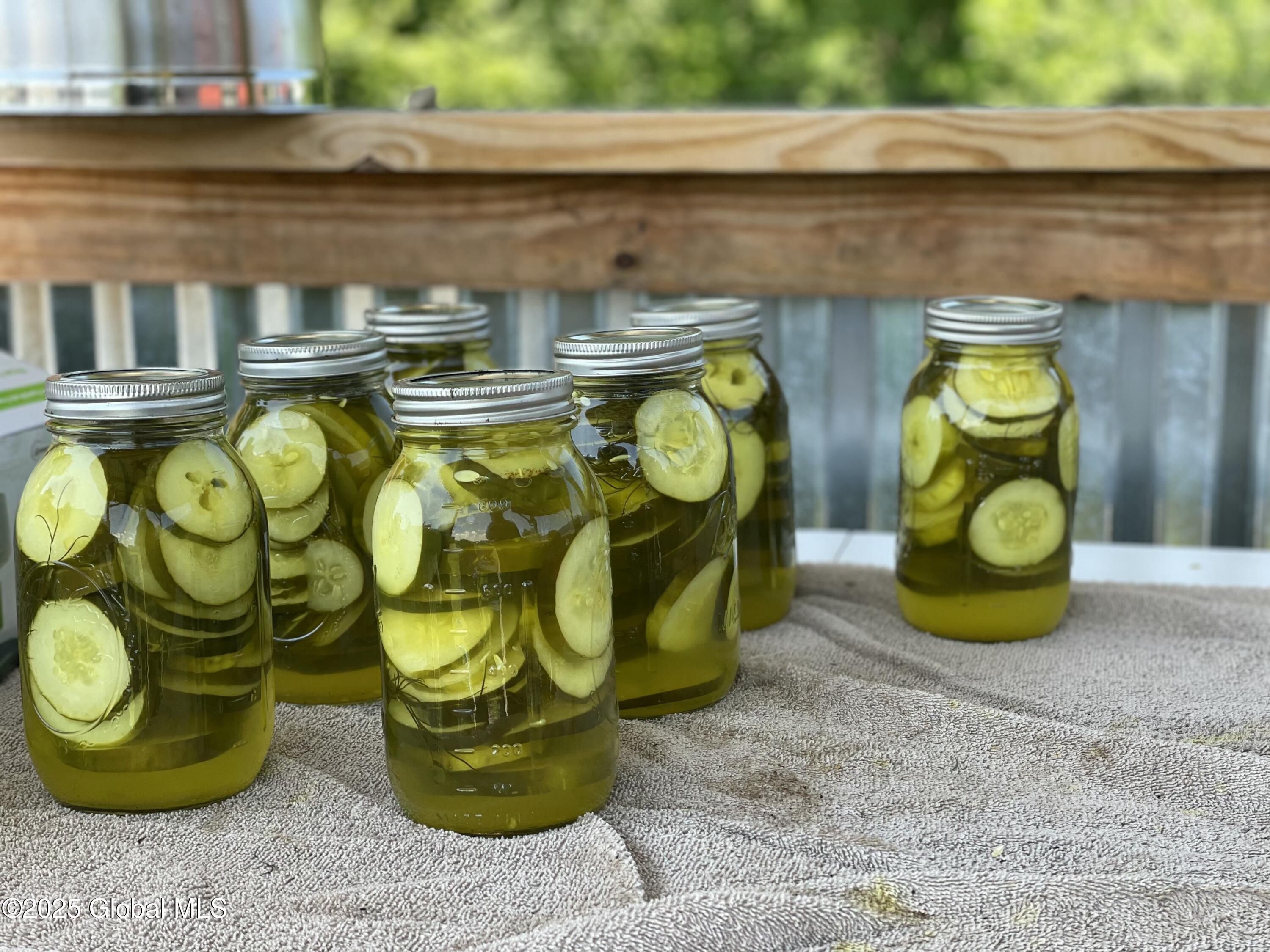 117 Hartman Road Hudson Falls, NY 12839 - Photo 34 of 49 Cucumbers