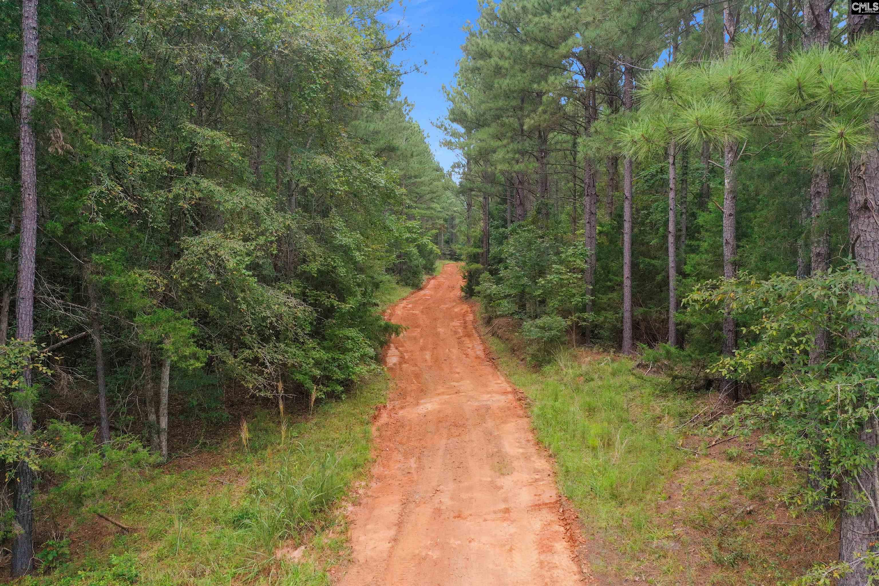 0 Penner Road, Unit 10 Jenkinsville, SC 29065 - Photo 15 of 43