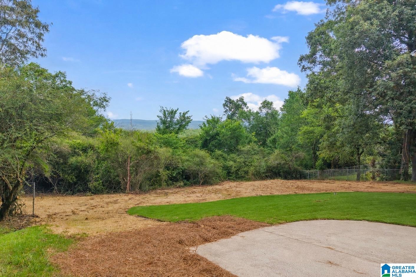 135 Shades Crest Road Birmingham, AL 35226 - Photo 52 of 62