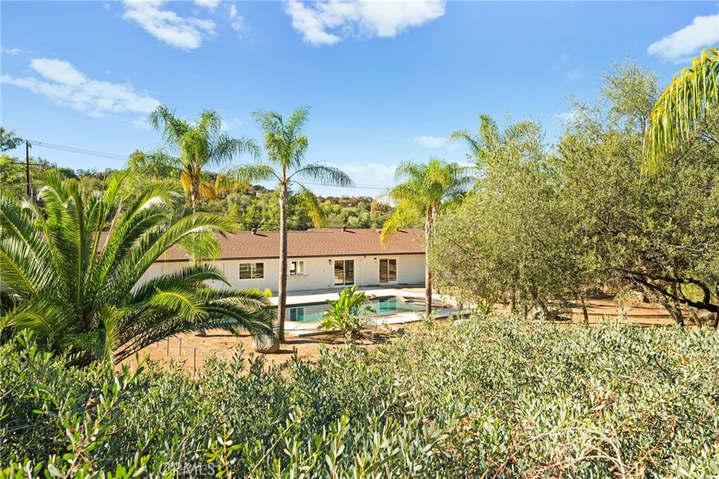 2060 South Grade Road Alpine, CA 91901 - Photo 55 of 69 a view of a yard with plants and a bench