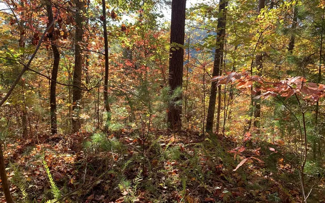 $85,000 | 29 Lake Point Drive, Murphy, NC 28906