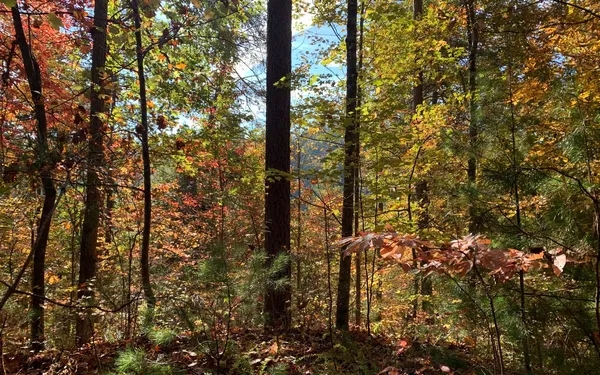 $85,000 | 29 Lake Point Drive, Murphy, NC 28906